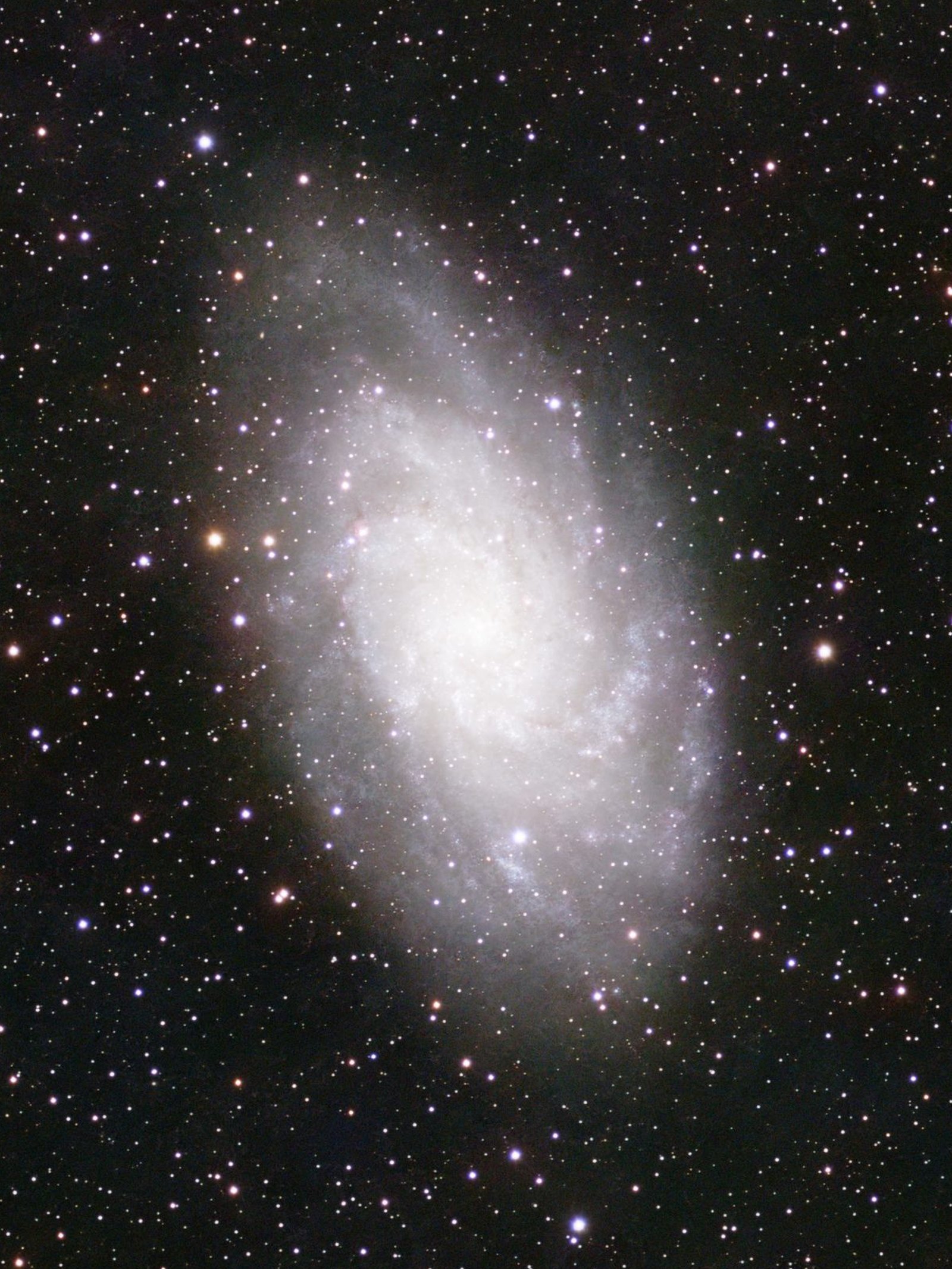 The Triangulum Galaxy processed: spiral arms full of blue star clusters