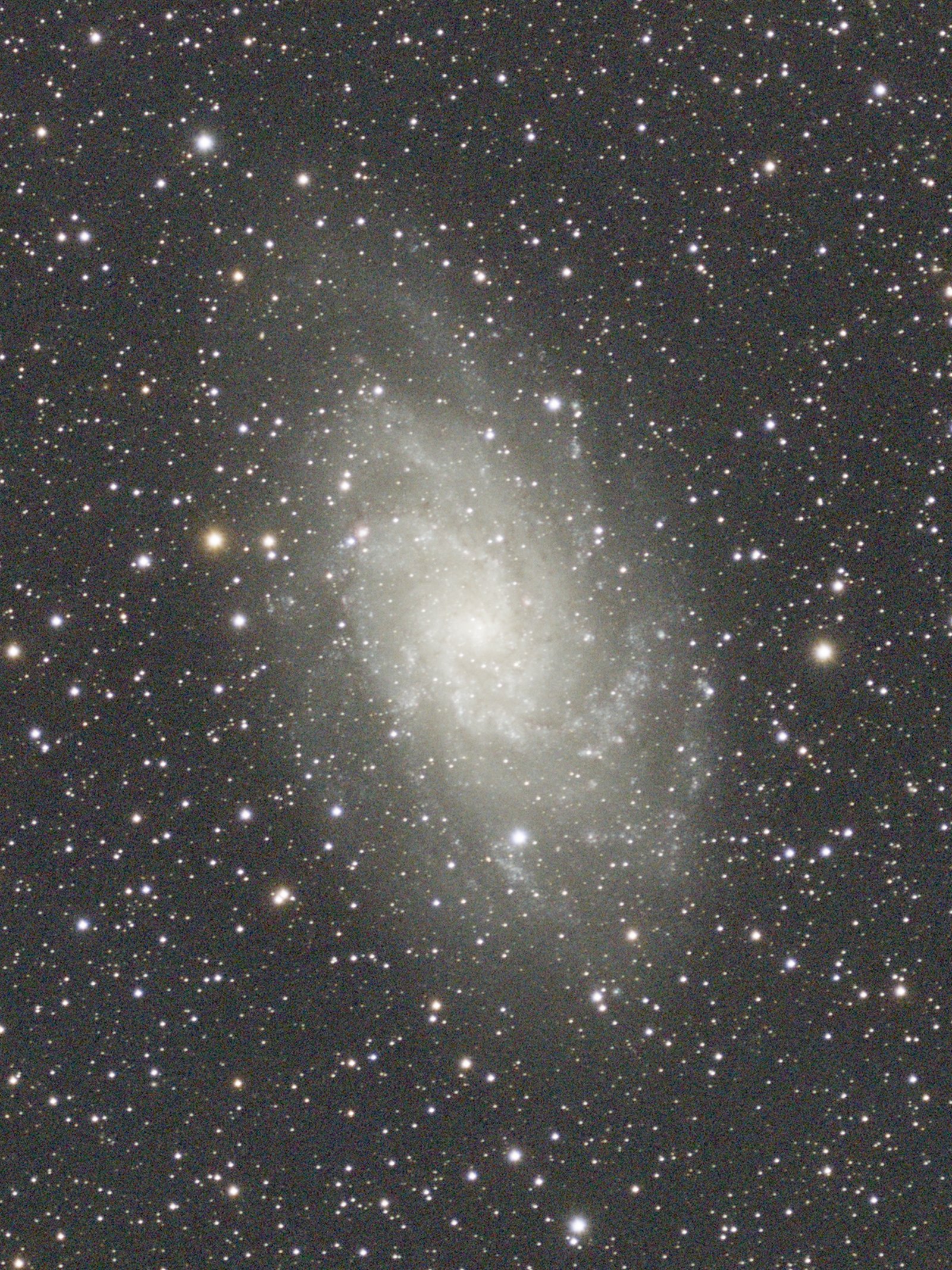 The Triangulum Galaxy as a plain stretch: a faint smudge
